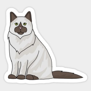 Ragdoll cat Sticker
